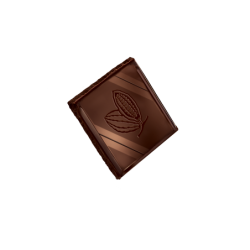 Gianduja Dégustation -  chocolat noir