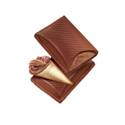 Praline - Chocolat au lait